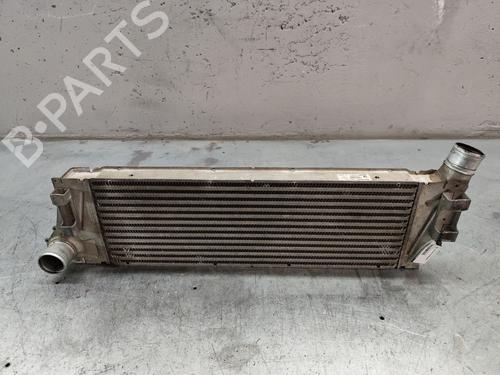 Intercooler RENAULT MEGANE II (BM0/1_, CM0/1_) [2001-2012]  22217689