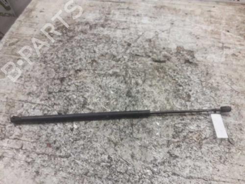 Tailgate lift support FORD FIESTA V (JH_, JD_)  | BP21464781C138 