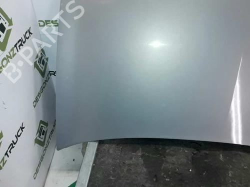 Hood RENAULT MEGANE II (BM0/1_, CM0/1_)  | BP21429382C1 
