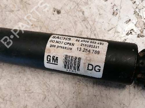 Right rear shock absorber OPEL VECTRA C (Z02)  | BP21481551M19 