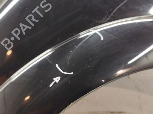 Left front fenders CITROËN C3 I (FC_, FN_) 1.4 i | BP30181863C41