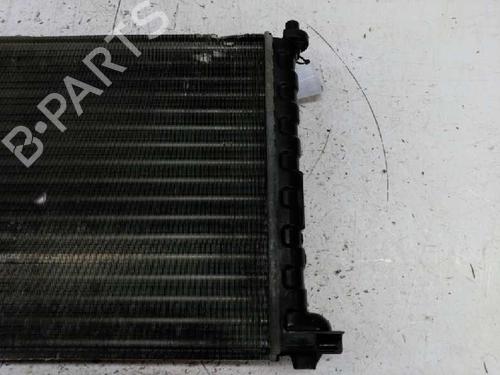 Water radiator SEAT IBIZA I (21A)  | BP21430377M31 