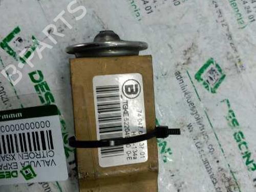 Elektronisk sensor CITROËN XSARA (N1) 1.9 D (68 hp) 21446786