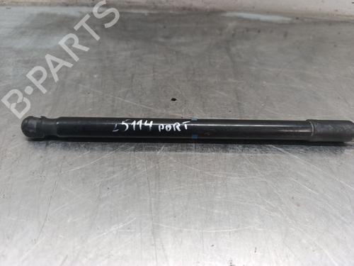 Tailgate lift support AUDI Q7 (4MB, 4MG, 4MQ) 3.0 TDI quattro | BP31181679C138