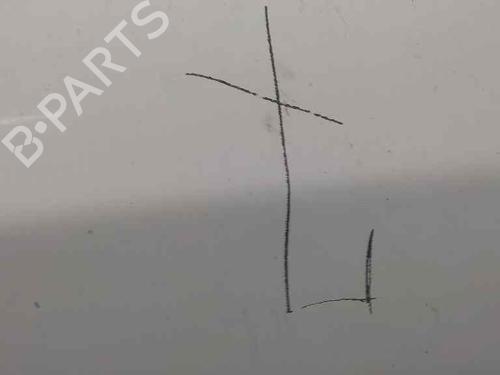Hood FIAT DUCATO Van (250_)  | BP21493228C1