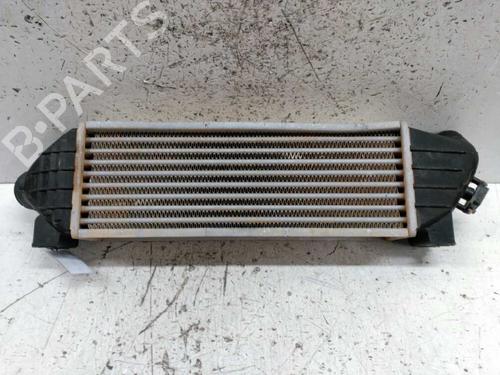 Intercooler FORD TRANSIT TOURNEO Bus (FC_ _) 2.0 | BP24679442M30 