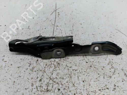 Hinge/Door check strap BMW 3 (E90) 320 d | BP21441387C146 