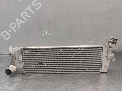 Used Intercooler RENAULT SCÉNIC II (JM0/1_) [2003-2010]  33162128