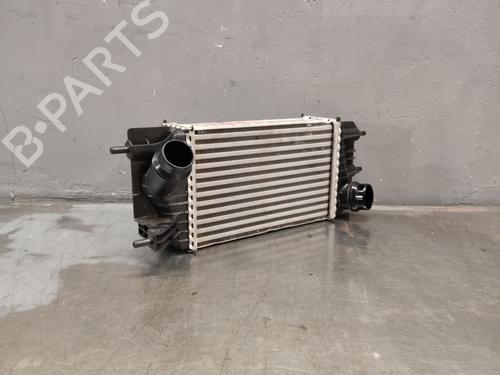 Used Intercooler Intercooler NISSAN JUKE (F15) 1.5 dCi (110 hp) 40442637 40442637