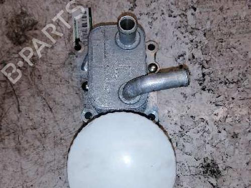 Oliekøler FORD TRANSIT CONNECT (P65_, P70_, P80_) [2002-2025]  21478330