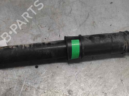 Right rear shock absorber RENAULT KANGOO / GRAND KANGOO II (KW0/1_)  | BP21411897M19 
