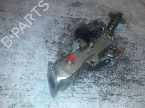 Egr BMW X3 (F25) | BP21471516M69