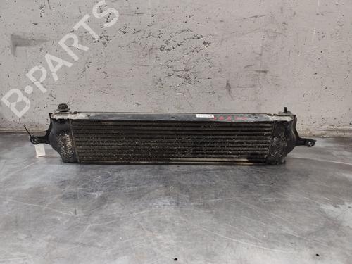 Intercooler NISSAN X-TRAIL II (T31) 2.0 dCi 4x4 | BP32011114M30