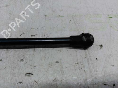 Tailgate lift support FIAT GRANDE PUNTO (199_) 1.3 D Multijet (199.AXD11, 199.AXD1A, 199.AXD1B,... | BP21437008C138 