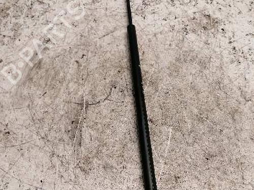 Tailgate lift support FORD FIESTA V (JH_, JD_)  | BP21479322C138 