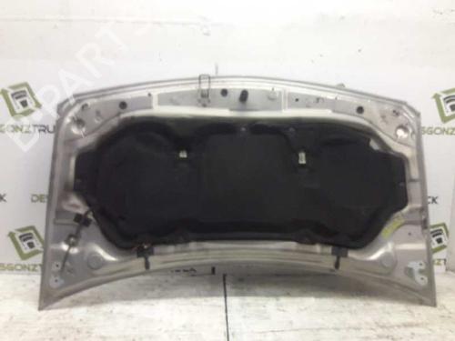 Hood RENAULT MEGANE II (BM0/1_, CM0/1_)  | BP21457900C1 