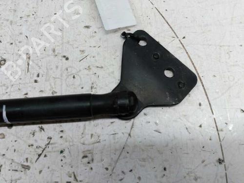 Tailgate lift support FORD FOCUS C-MAX (DM2)  | BP21440319C138 