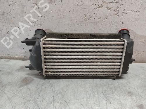 Intercooler FORD ECOSPORT 1.0 EcoBoost | BP28608813M30
