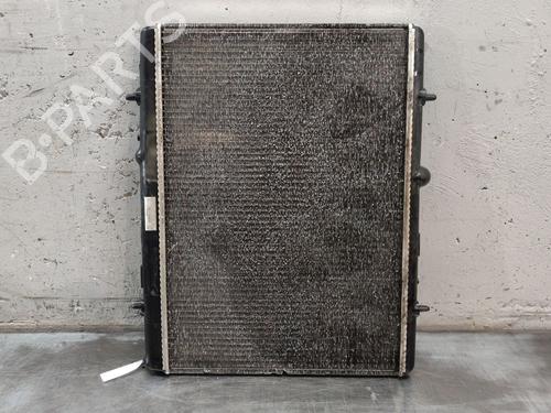 Water radiator CITROËN C4 II (NC_) | BP31320681M31 - Image 2