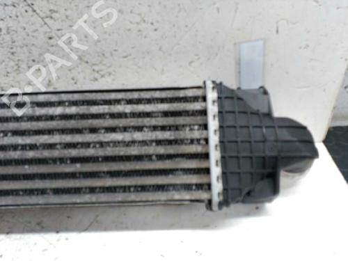 Intercooler FORD FOCUS II (DA_, HCP, DP)  | BP21441819M30 