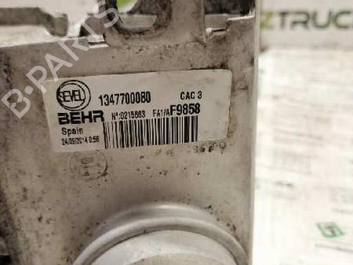 Intercooler CITROËN JUMPER II Van 2.2 HDi 130 | BP22786020M30