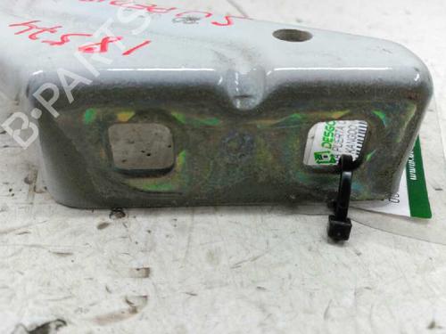 Hinge/Door check strap RENAULT KANGOO Express (FC0/1_)  | BP21441061C146 