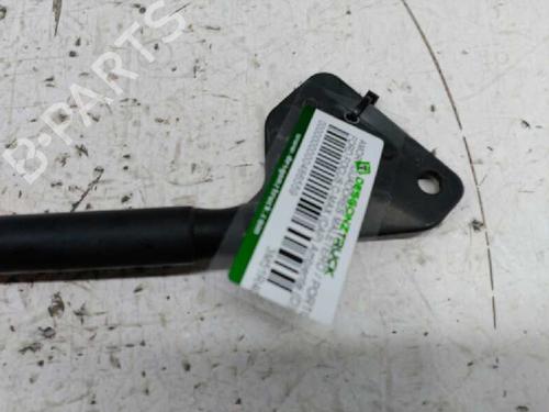 Gasdæmper bagklap FORD FOCUS C-MAX (DM2)  | BP21440301C138 
