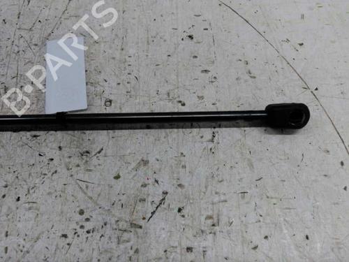 Tailgate lift support FORD FUSION (JU_)  | BP21438242C138 