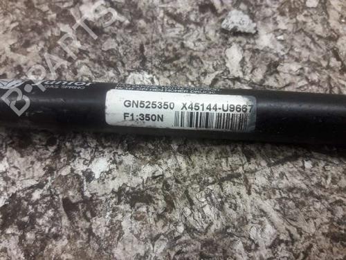 Tailgate lift support CITROËN SAXO (S0, S1) 1.4 VTS | BP21465287C138 