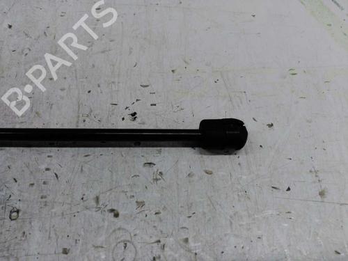 Tailgate lift support SEAT AROSA (6H1)  | BP21437829C138 