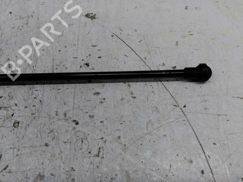 Hood lift support PEUGEOT 306 Hatchback (7A, 7C, N3, N5)  | BP22915131C139 