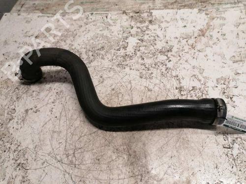 Used Intercooler pipe RENAULT SCÉNIC II (JM0/1_) [2003-2010]  21478855