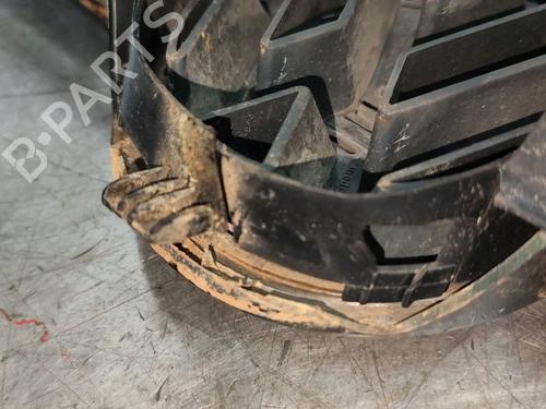 Grille VW GOLF IV (1J1) 1.9 TDI | BP28811539C40 
