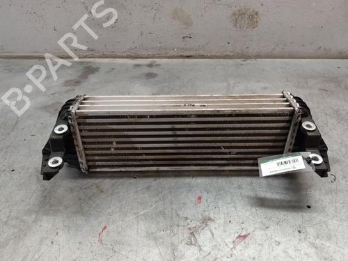 Used Intercooler FORD TRANSIT CONNECT (P65_, P70_, P80_) 1.8 TDCi (90 hp) 28608854
