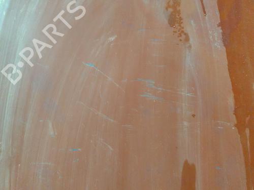 Hood RENAULT 6 (118_)  | BP28681730C1