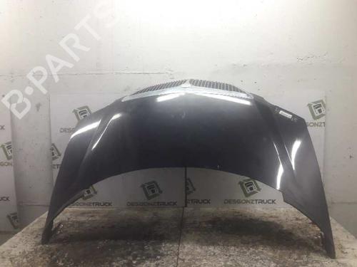 Used Hood LANCIA PHEDRA (179_) 2.2 JTD (179AXC1A) (128 hp) 21466027