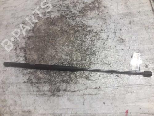 Used Tailgate lift support RENAULT SCÉNIC I MPV (JA0/1_, FA0_) 1.9 dCi (JA05, JA1F) (102 hp) 21471735