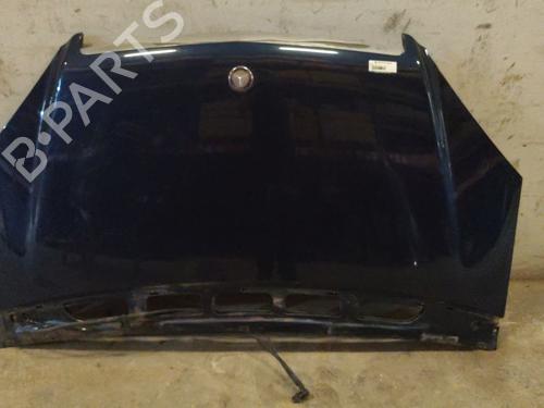 Used Hood MERCEDES-BENZ A-CLASS (W169) A 150 (169.031, 169.331) (95 hp) 28818243