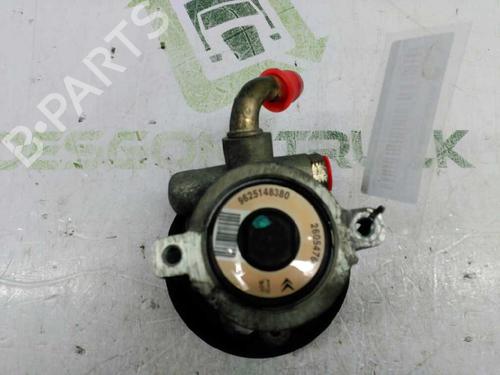 Steering pump PEUGEOT 306 Hatchback (7A, 7C, N3, N5) | BP21434074M99
