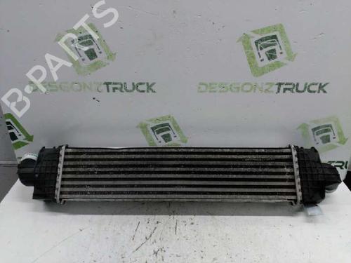 Intercooler FORD FOCUS II (DA_, HCP, DP)  | BP21432541M30 