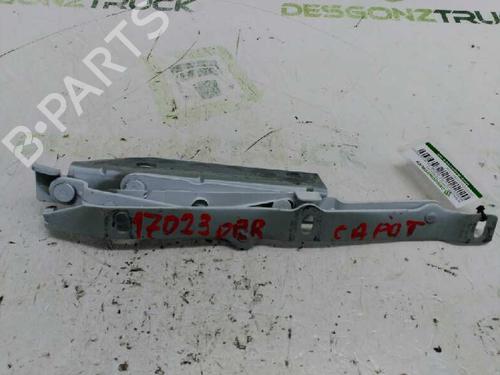 Hinge/Door check strap MERCEDES-BENZ VITO Van (W638)  | BP21429095C146 