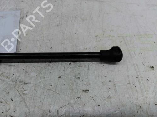 Tailgate lift support PEUGEOT 307 (3A/C)  | BP21437047C138 