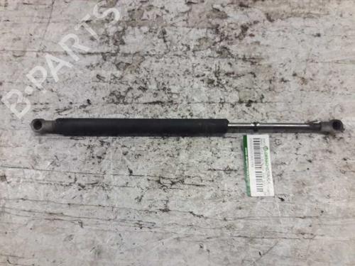 Tailgate lift support BMW 3 (E46)  | BP21458230C138 