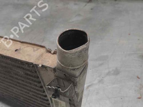 Intercooler RENAULT MEGANE II (BM0/1_, CM0/1_) 1.9 dCi (BM0G, CM0G) | BP21412256M30 
