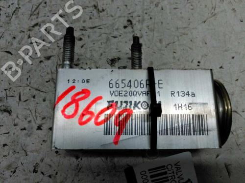 Elektronische sonde CITROËN C3 I (FC_, FN_) 1.4 i (73 hp) 21443376