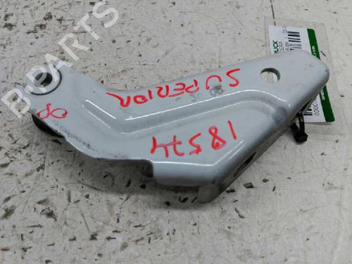 Hinge/Door check strap RENAULT KANGOO Express (FC0/1_)  | BP21441061C146 