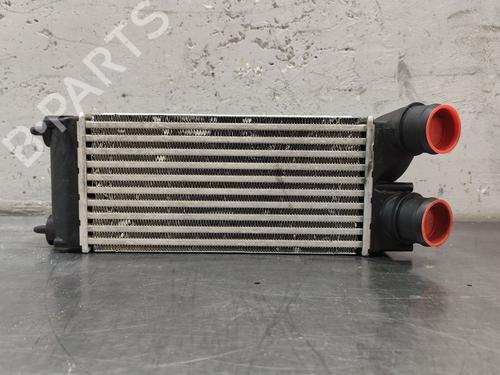 Intercooler CITROËN C4 Picasso I MPV (UD_) 1.6 HDi | BP31321064M30