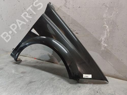 Right front fenders RENAULT MEGANE II Coupé-Cabriolet (EM0/1_) 1.6 16V | BP28674394C42 