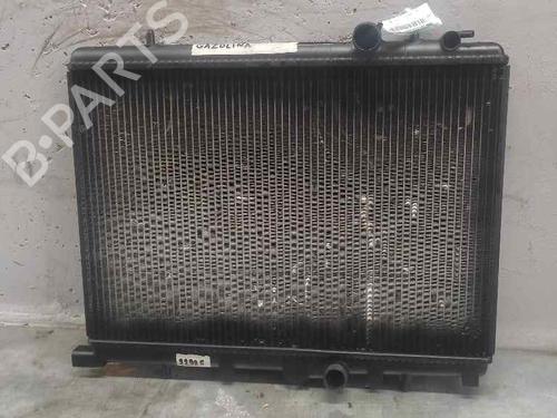 Køler PEUGEOT 206 CC (2D) [2000-2008]  21411563