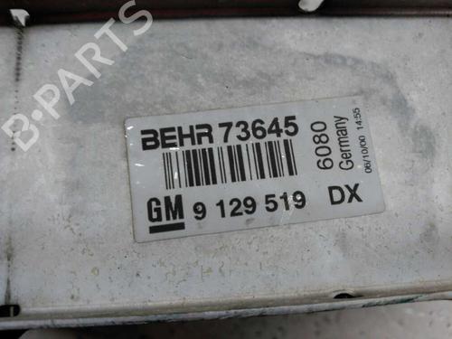 Intercooler OPEL ZAFIRA A MPV (T98)  | BP21445741M30 
